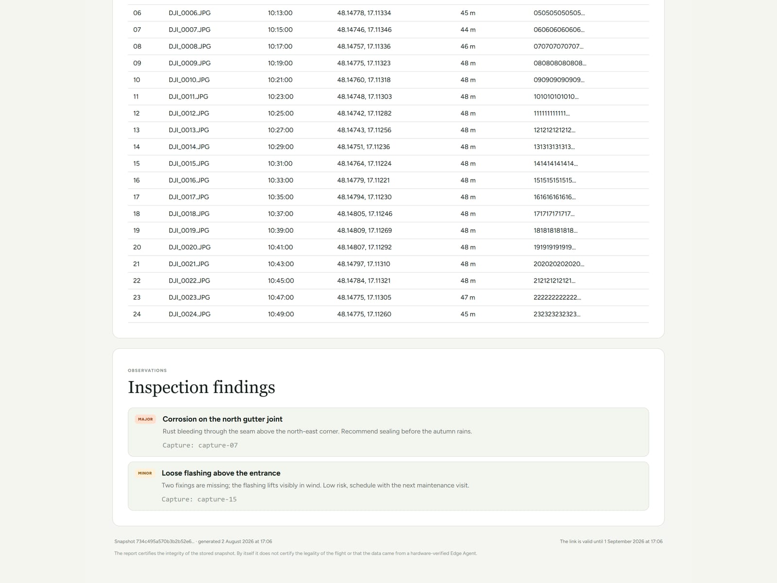 Report findings section with severity levels